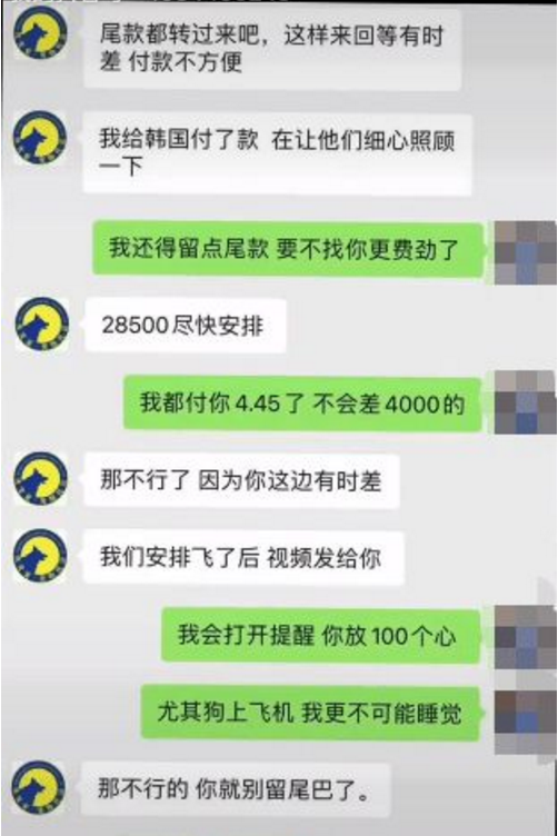 女子花近5万托运边牧中途去世：公司不合规 不具备托运资质