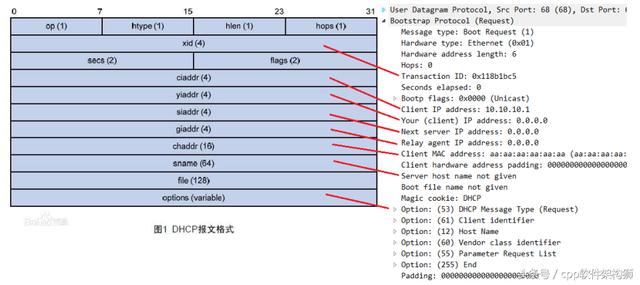 一分钟看搞懂DHCP 工作原理